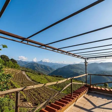 Casetta Mari Immersa In Un Vigneto * Dolceacqua