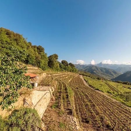 Casetta Mari Immersa In Un Vigneto Nyaraló *